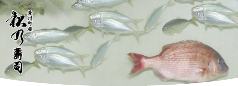 松乃寿司本店　大水槽